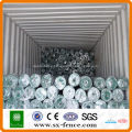 PVC Coated Garden Holland Wire Mesh(factory)